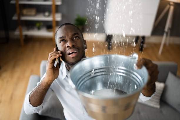 Best Water damage cleanup near me  in Combes, TX