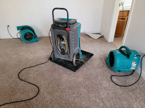Combes, TX Water damage restoration Company