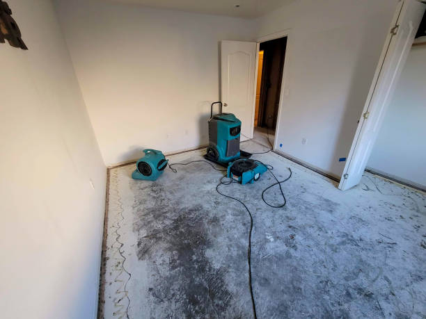 Best Fire Damage Restoration  in Combes, TX