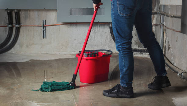 Best 24-hour water damage restoration  in Combes, TX