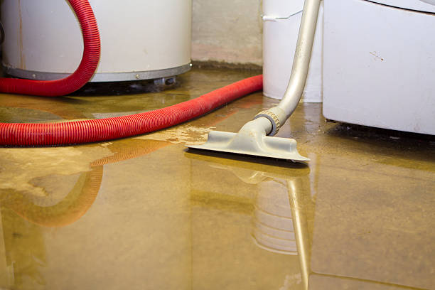Best Flooded house restoration  in Combes, TX