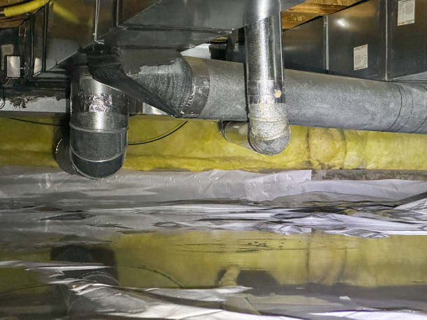 Best Professional water damage repair  in Combes, TX