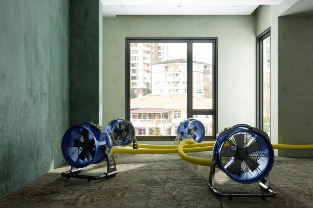 Sewage cleanup and water damage restoration in Combes, TX